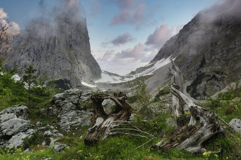 Alps Trek
