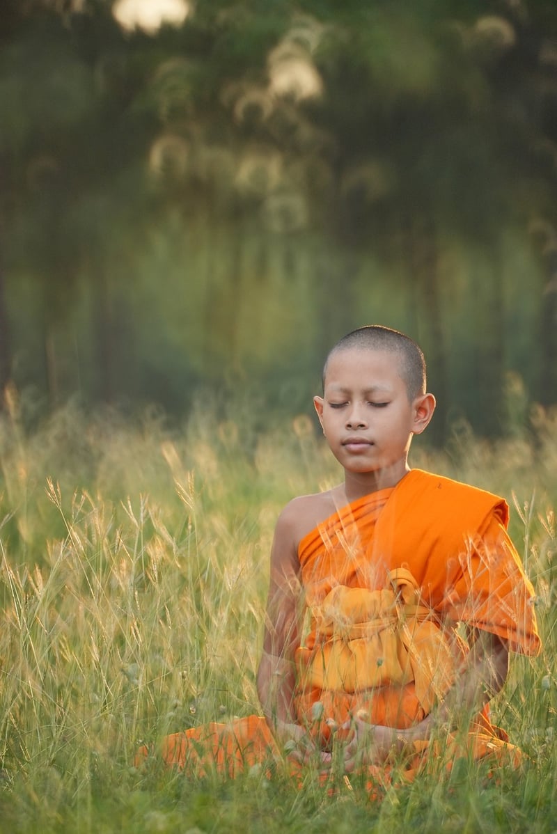 Tranquil Meditation Garden